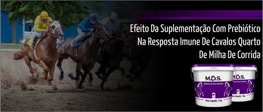 Efeito da suplementação com prebiótico MOS na resposta imune de cavalos quarto de milha de corrida 