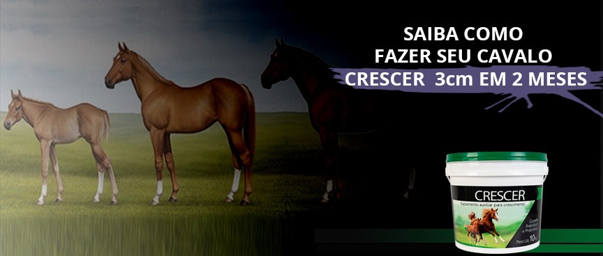 Saiba como fazer seu cavalo crescer 3 cm em 2 meses