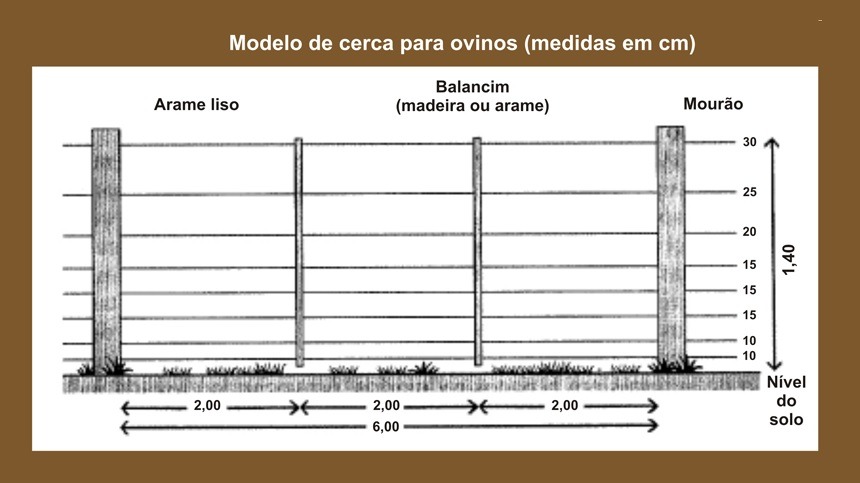 Como construir uma cerca para ovinos e caprinos