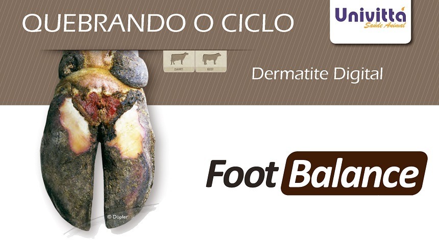 Dermatite Digital em Bovinos