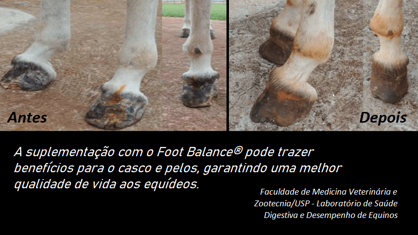 FOOT BALANCE Suplemento para cascos