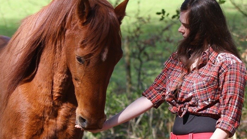 Novo conceito da suplementação e alimentação do cavalo atleta