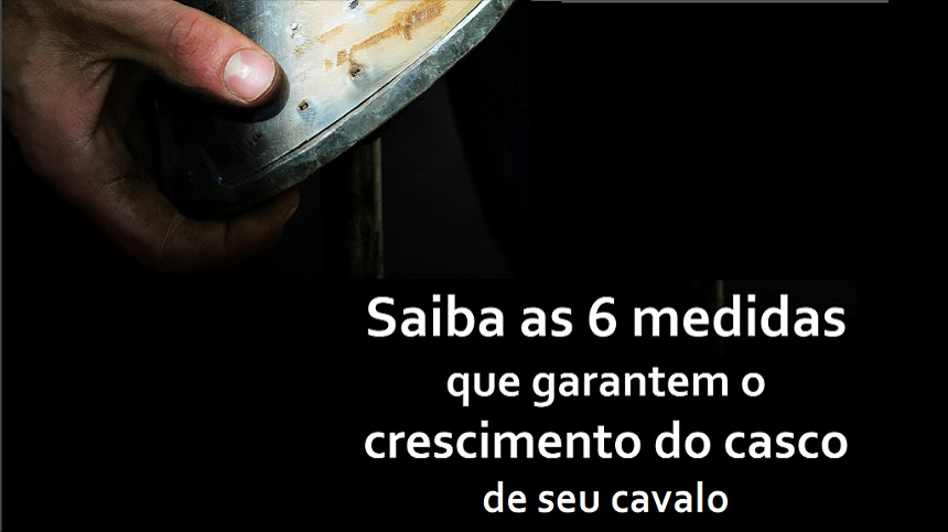 Saiba as 6 medidas que garantem o crescimento do casco de seu cavalo