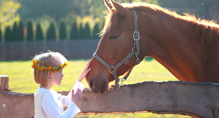 7 benefícios do Pro-SACC para a vida do seu cavalo