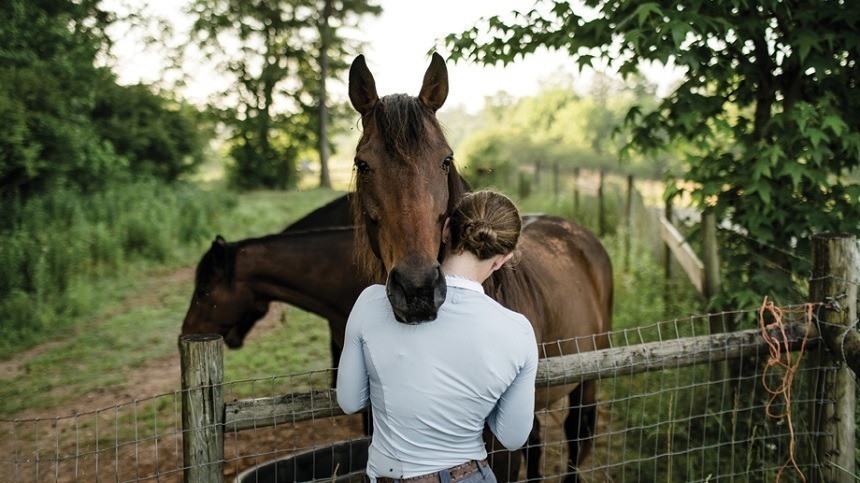 Saiba o que é importante para alimentação do cavalo atleta