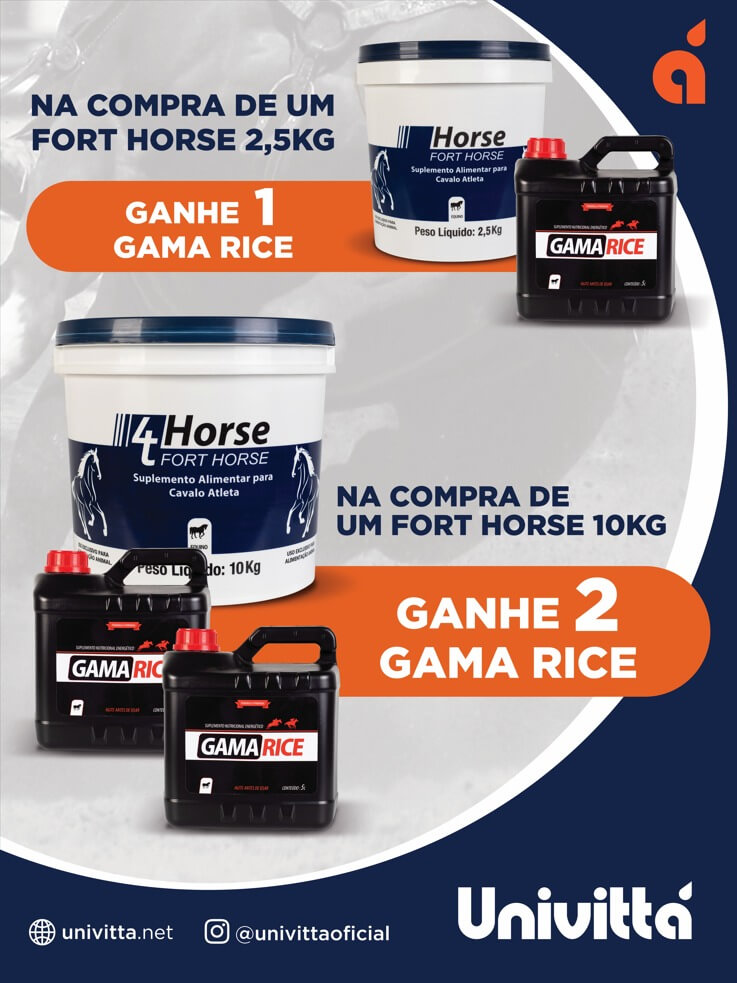 BANNER PROMO FORT HORSE_GAMA RICE 45x60cm