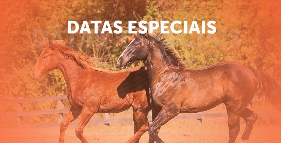 DATAS ESPECIAIS