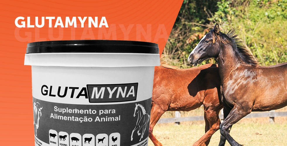 GLUTAMYNA