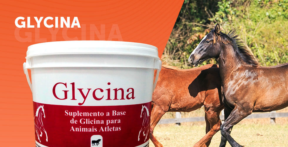 GLYCINA