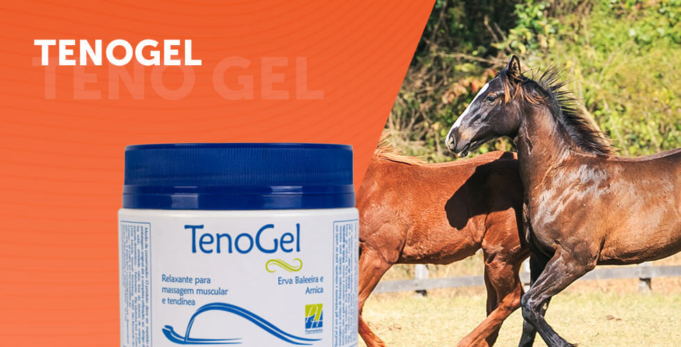 TENOGEL