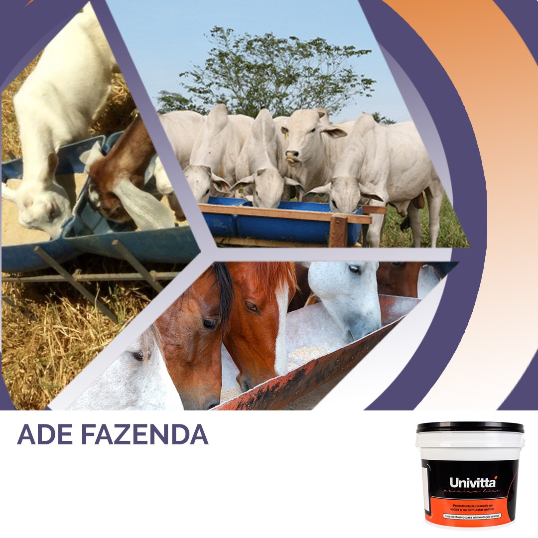 ADE Fazenda