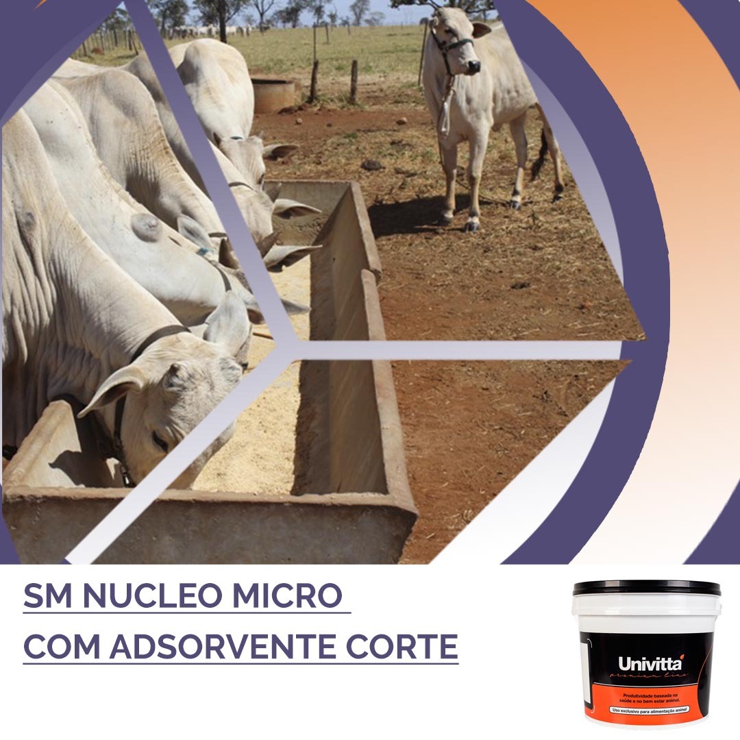 NÚCLEO MICRO COM ADSORVENTE CORTE