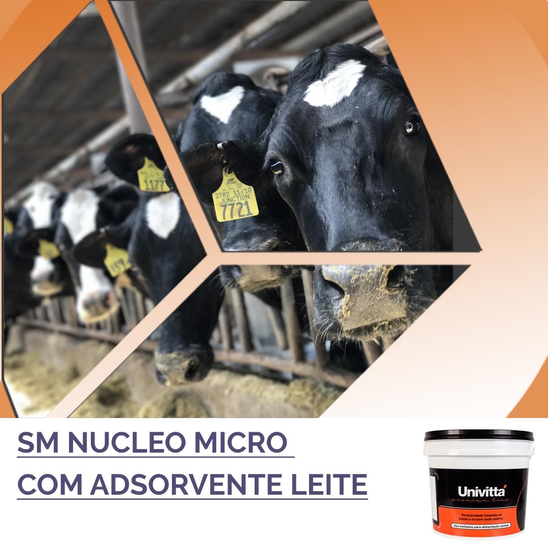 NÚCLEO MICRO COM ADSORVENTE LEITE