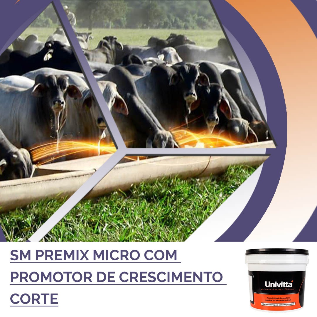 PREMIX MICRO COM PROMOTOR DE CRESCIMENTO CORTE