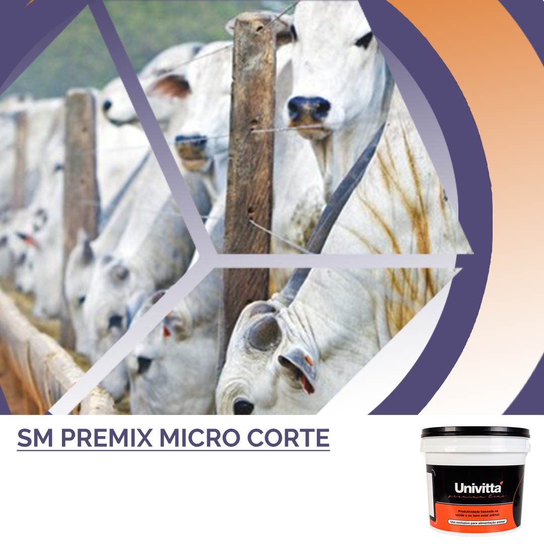  PREMIX MICRO CORTE