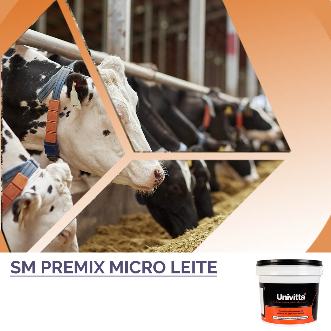 PREMIX MICRO LEITE